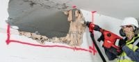 TE-YX FM ploché sekáče Samoostriace ploché sekáče s upínaním SDS Max (TE-Y) pre presné búranie v betóne a murive Použitie 1